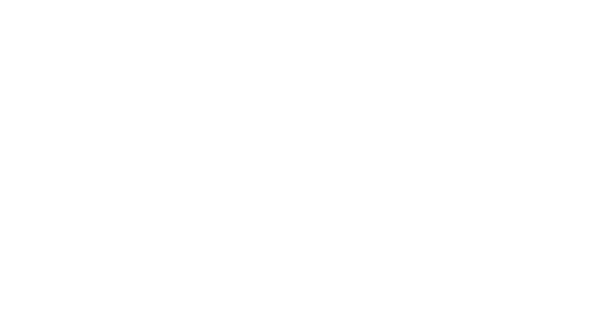 stolfig-Logo-White